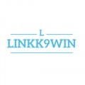 linkk9win's Avatar